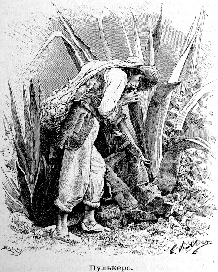 269 Пулькеро